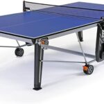 CORNILLEAU 500 Interior – basunantenisdemesa