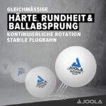 Pelotas Joola Outdoor 4