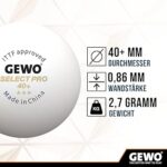 GEWO Select Pro Pelotas Ping Pong 2