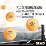 gewo-pelotas-exterior-ping pong-3