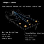 YEHOZZ Lanzapelotas Robot Ping Pong 3