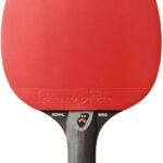 Raqueta STIGA Royal WRB Three Star basunan tenis de mesa 3