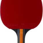 Raqueta STIGA Vision 4-Star basunan tenis de mesa 1