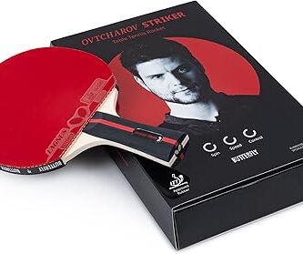 raqueta butterfly Ovtcharov Striker basunan tenis de mesa